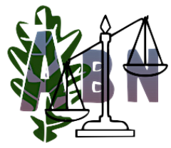cropped-Abn-Consulting.png
